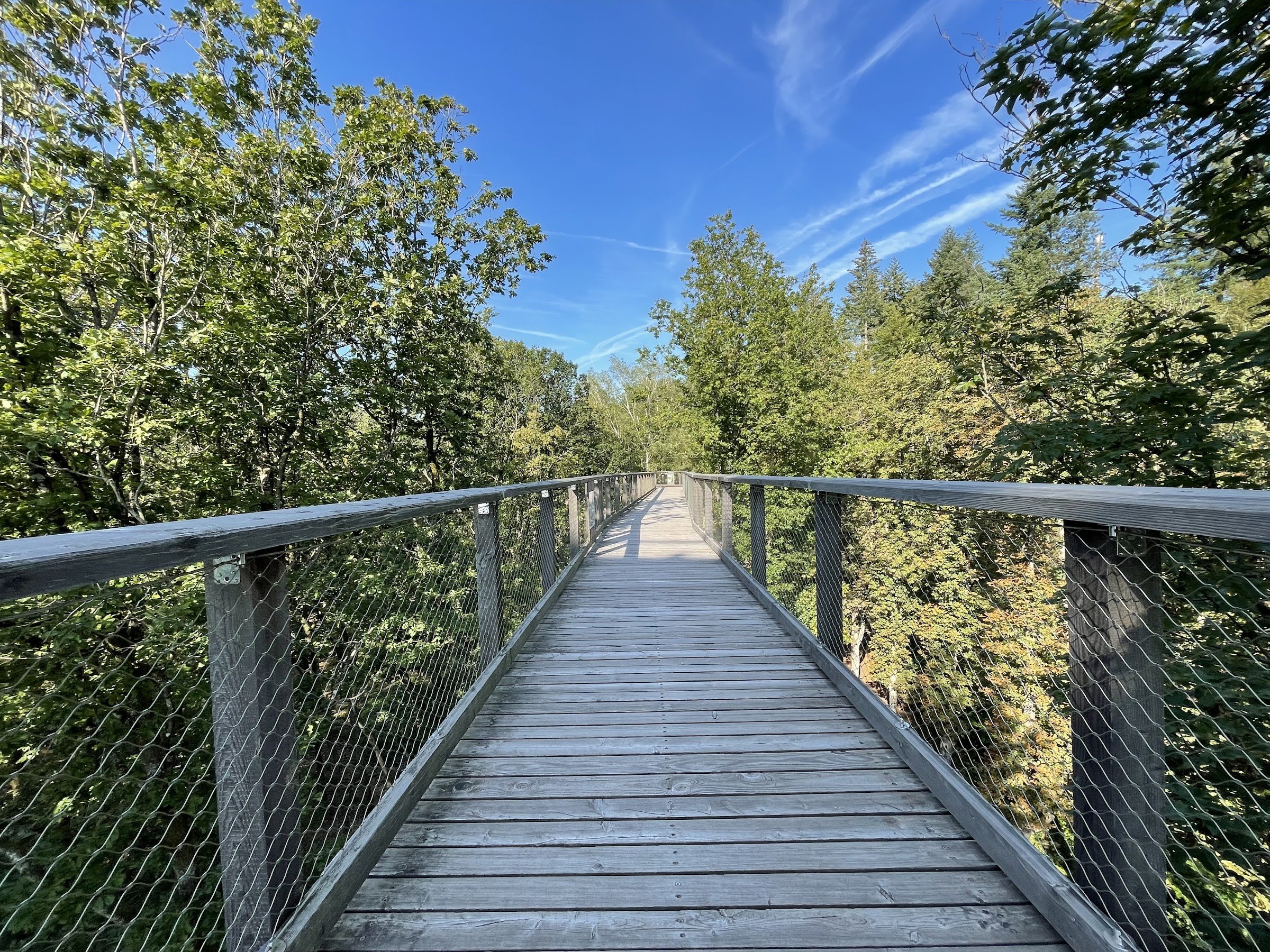 Treetop Walk Saarschleife